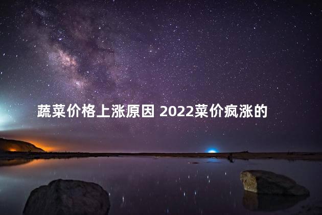 蔬菜价格上涨原因 2022菜价疯涨的原因